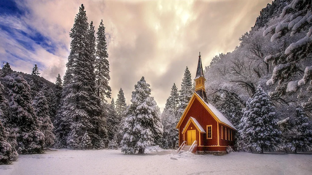 Winter forest cabin in the winter forest