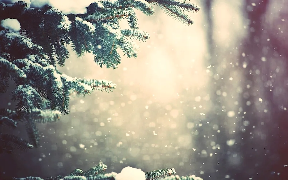 Winter background