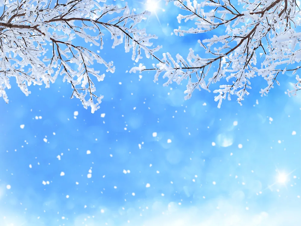 Winter house background