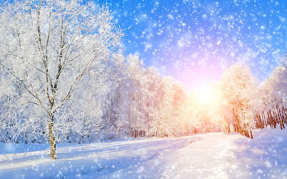 Winter background cartoon background