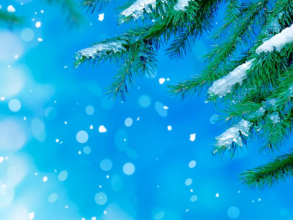 Winter background