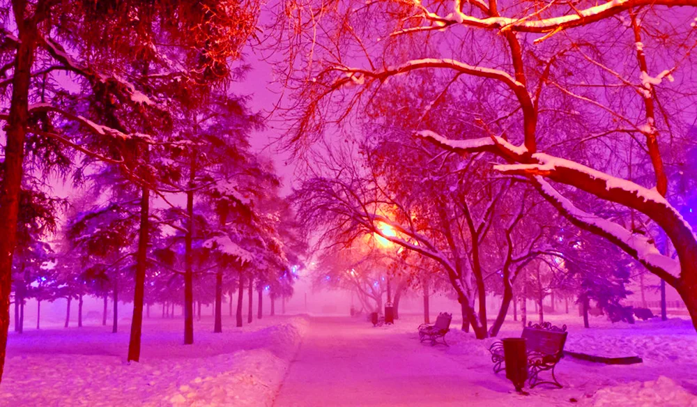 Winter city