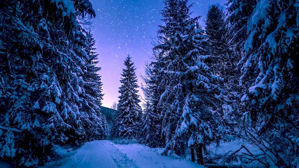 Beautiful winter