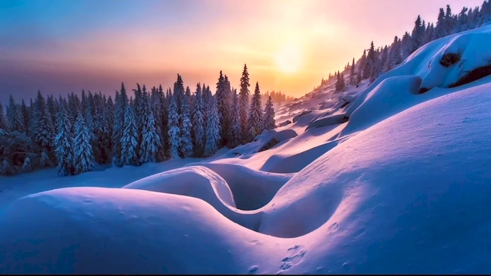 Winter pictures