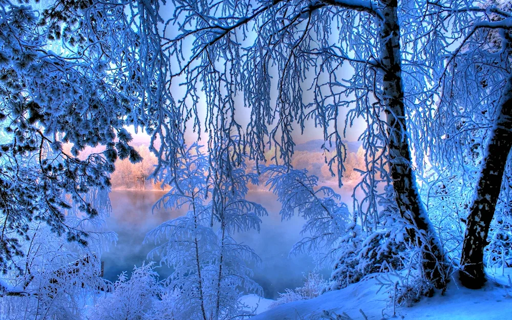 Beautiful winter