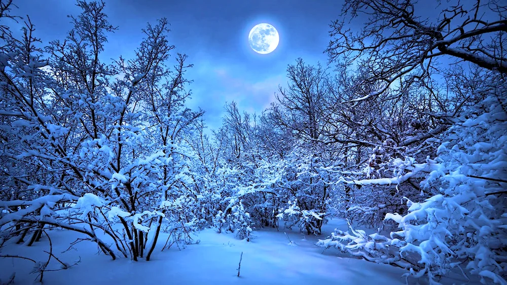 Beautiful winter wallpaper