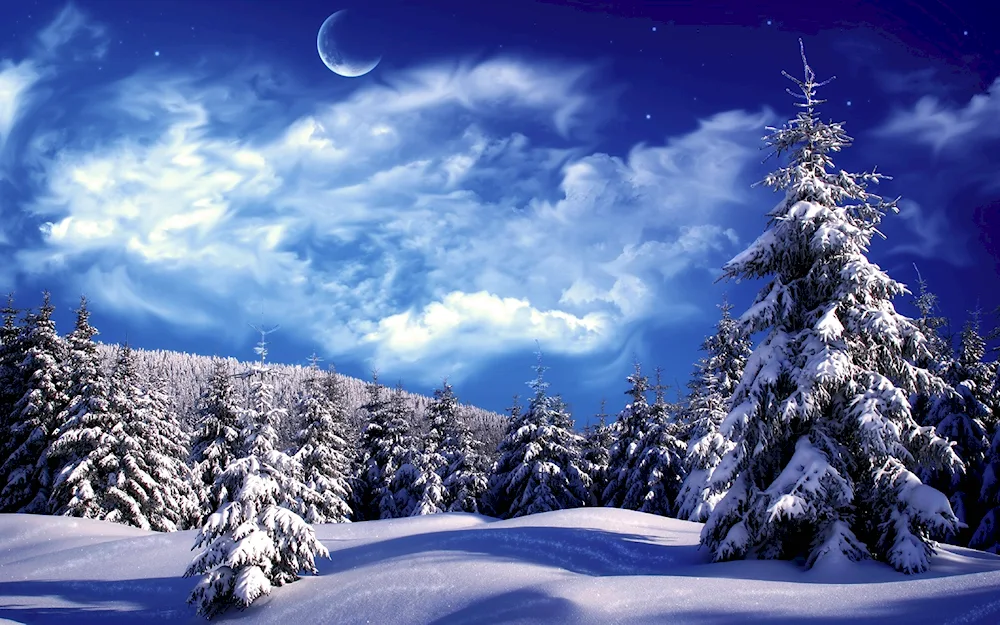 Winter landscape