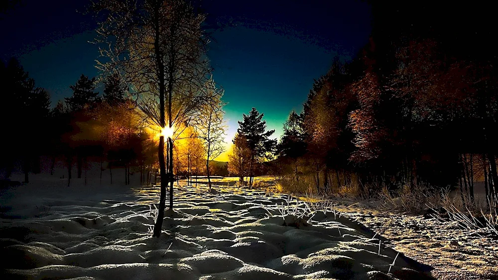 Evening March landscape