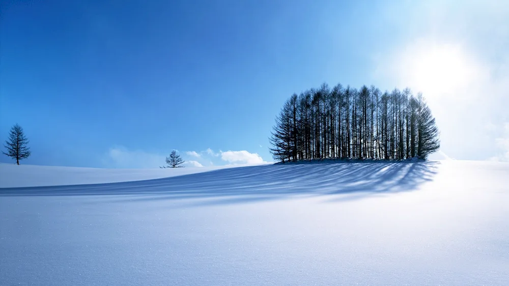 Winter landscape