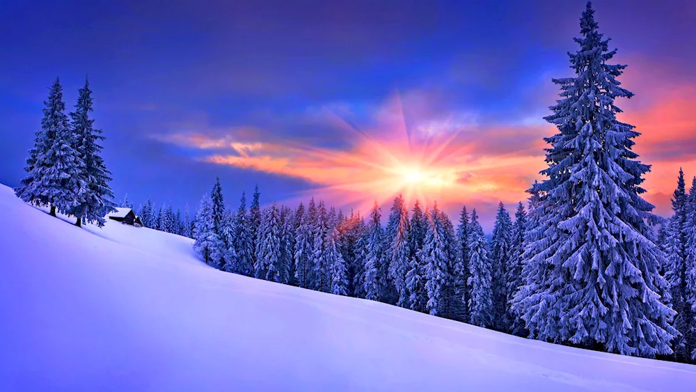 Winter sunset