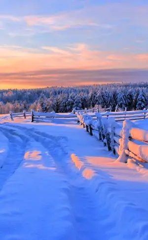 Winter landscape