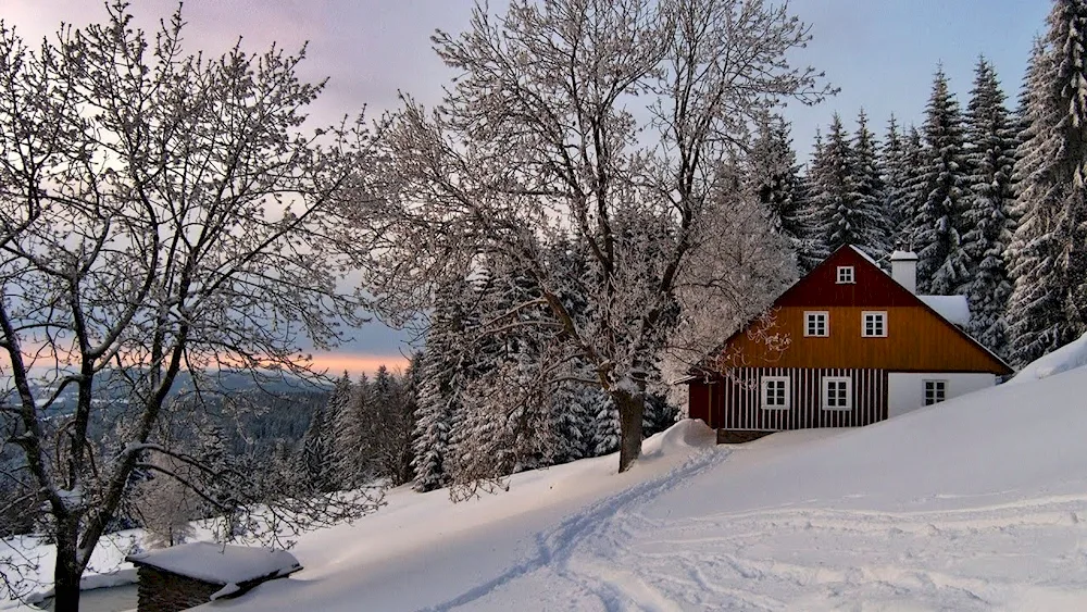 Winter landscape in Grabovica Serbia. ..