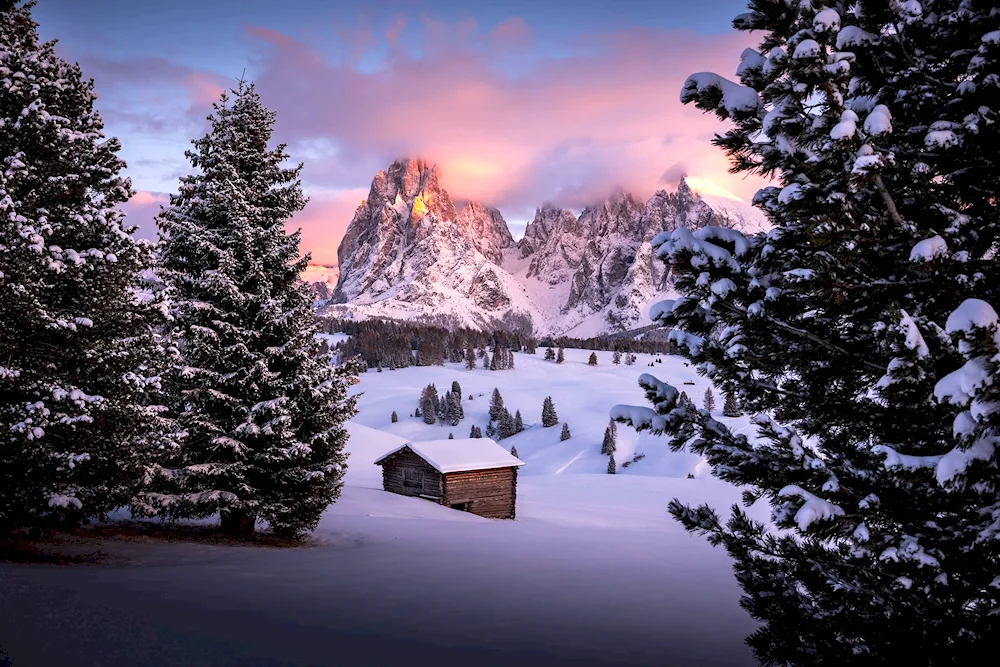 Winter landscape