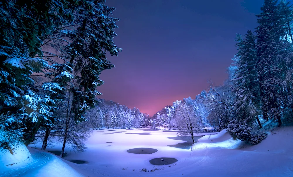 Beautiful winter