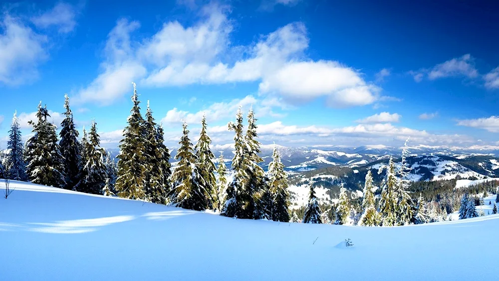 Winter landscape