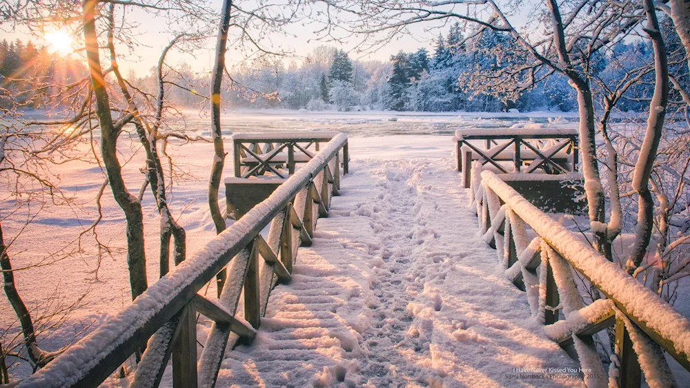 Winter landscape
