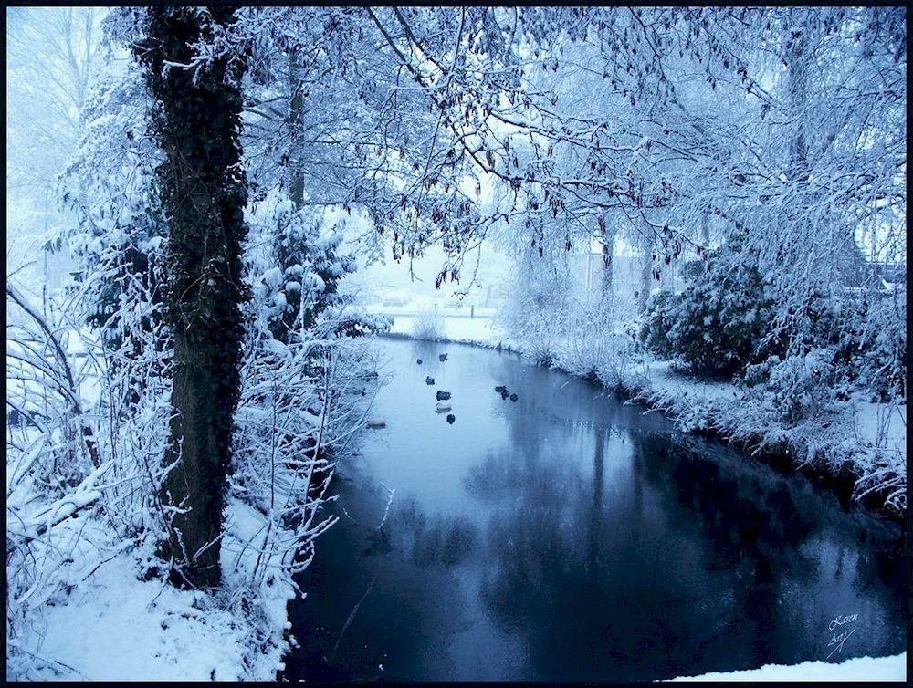 Beautiful snowflakes