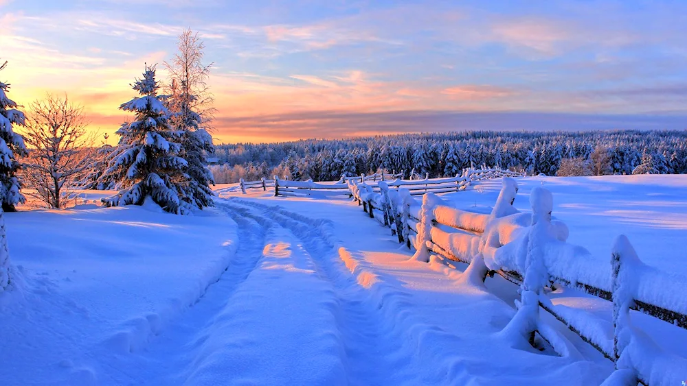 Winter landscape