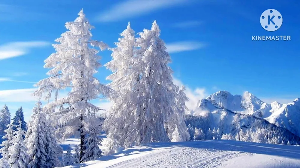 Winter live wallpaper