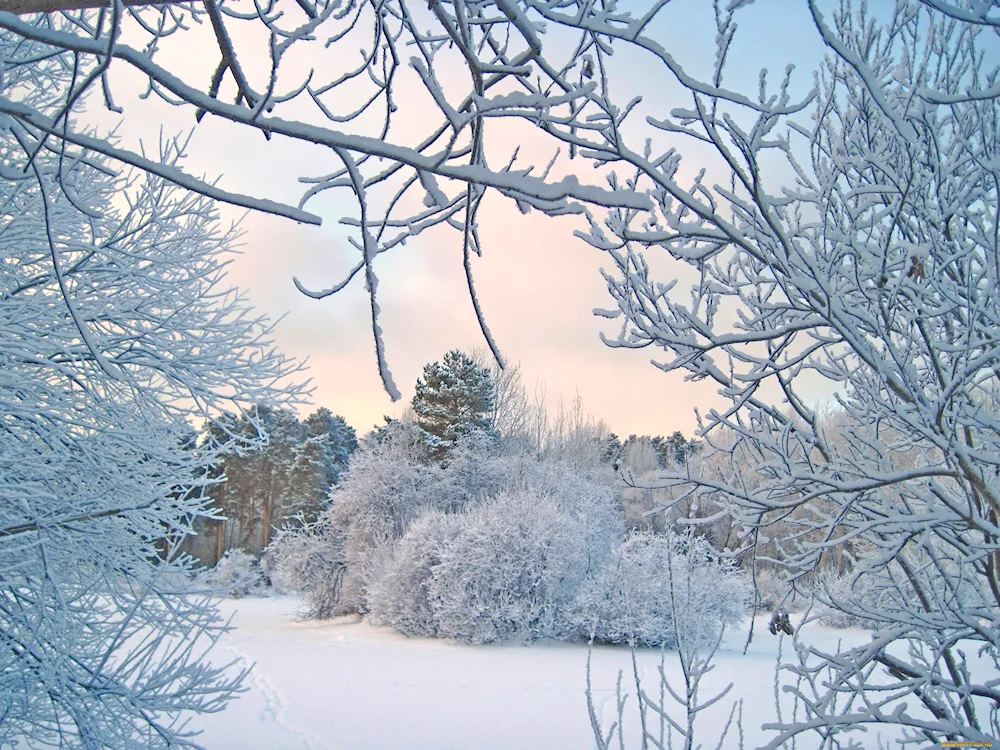 Winter landscape