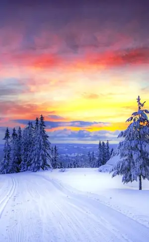 Winter landscape