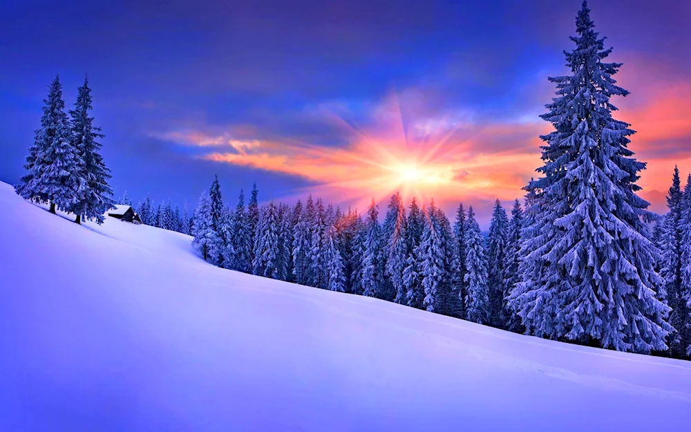 Winter house in the countryside