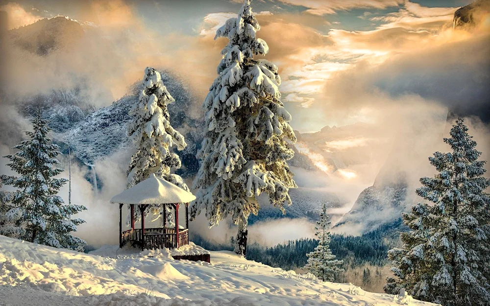 Winter landscape