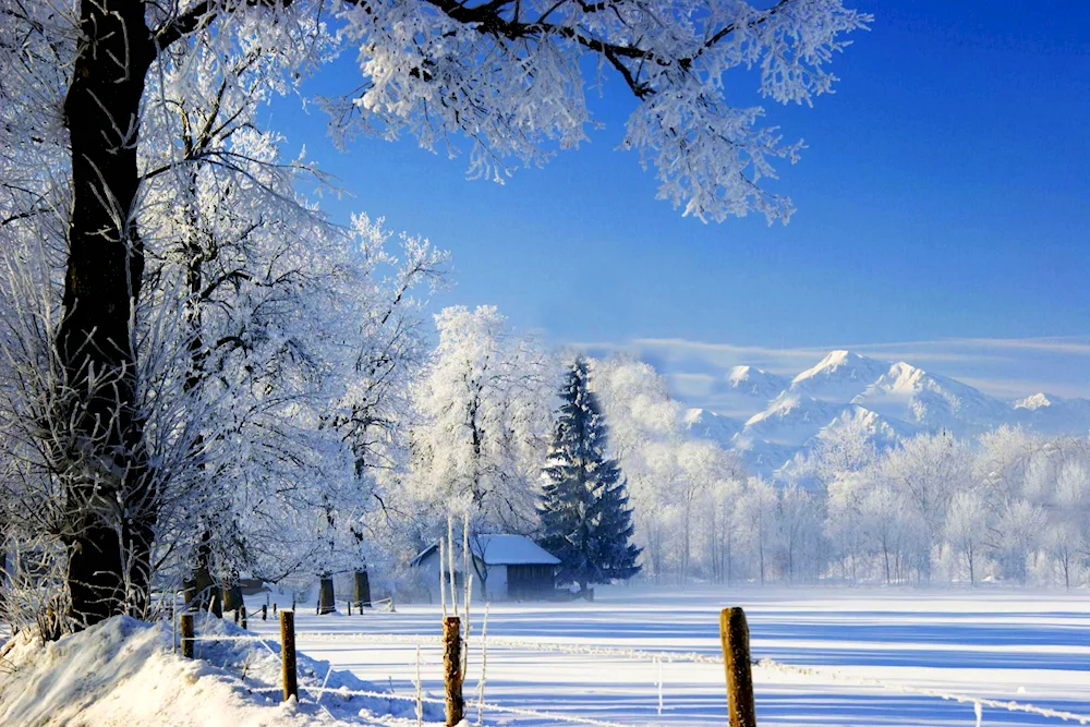 Winter landscape