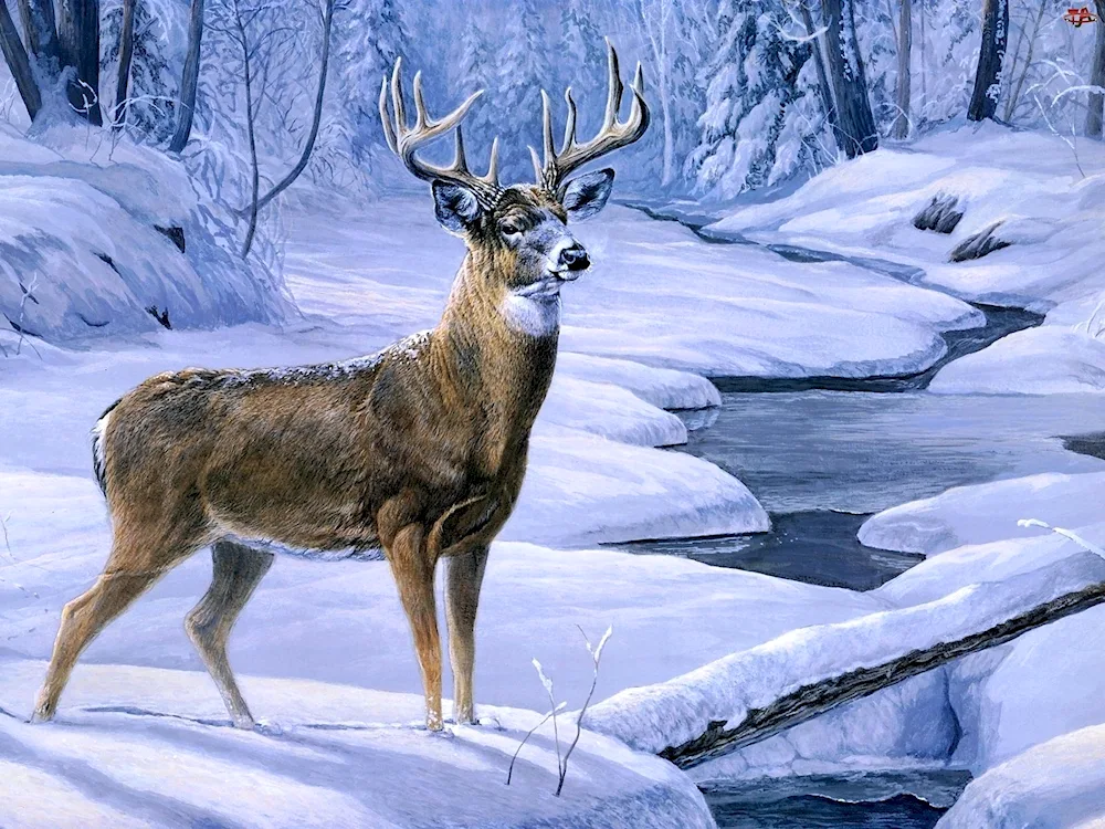 Animals in winter