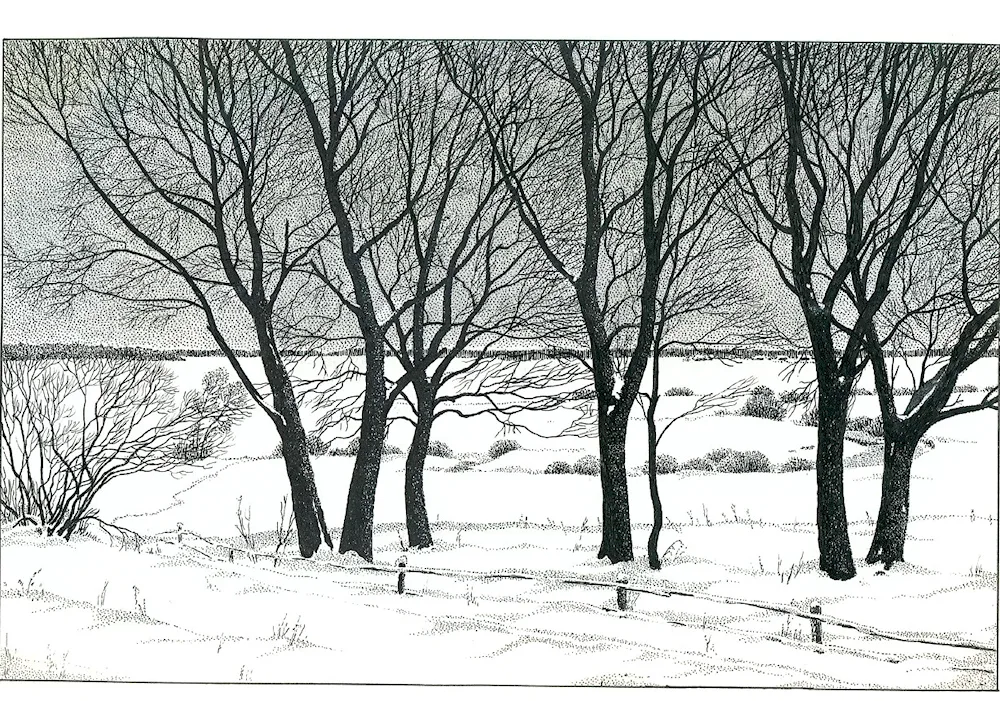 Linear landscape