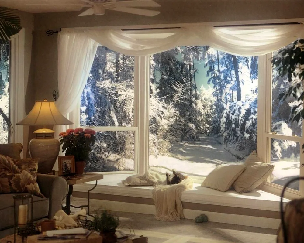 Winter window