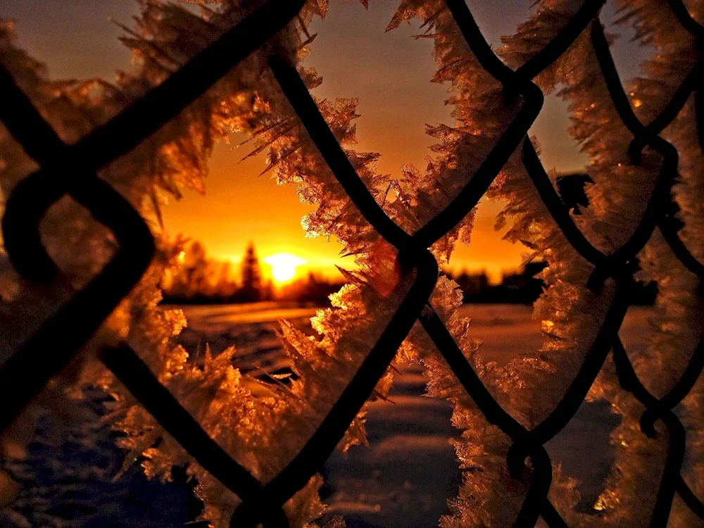 Winter window