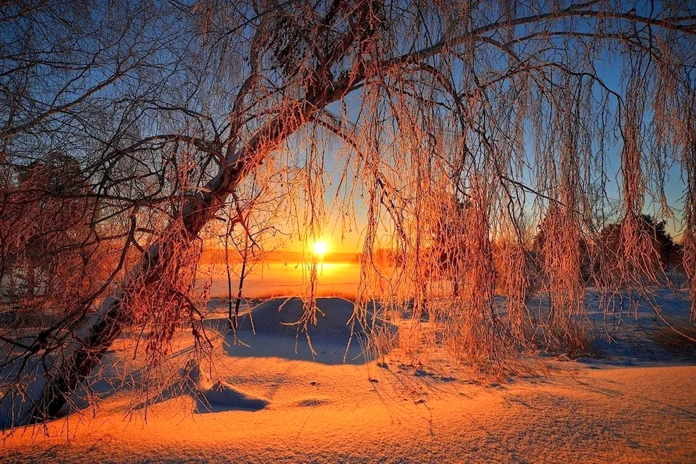 Spring sun
