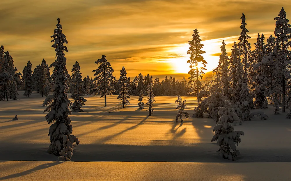 Winter sunset