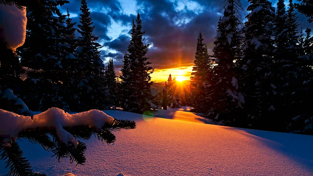 Winter sunset