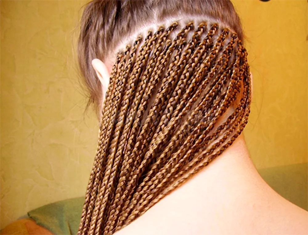 Zizi plaits weave