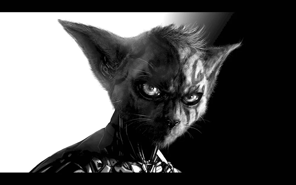 Evil cat