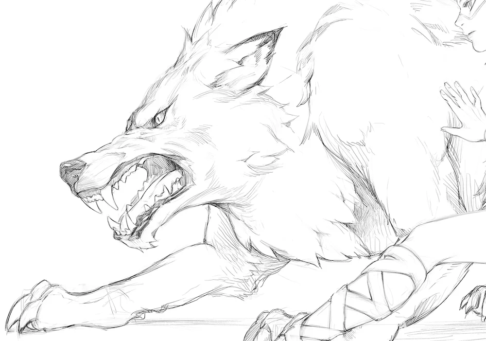 Wolf drawing