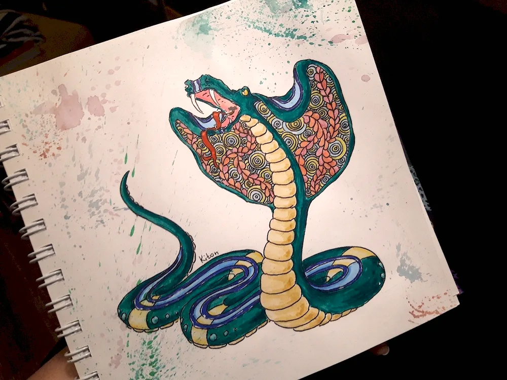 Snake colouring