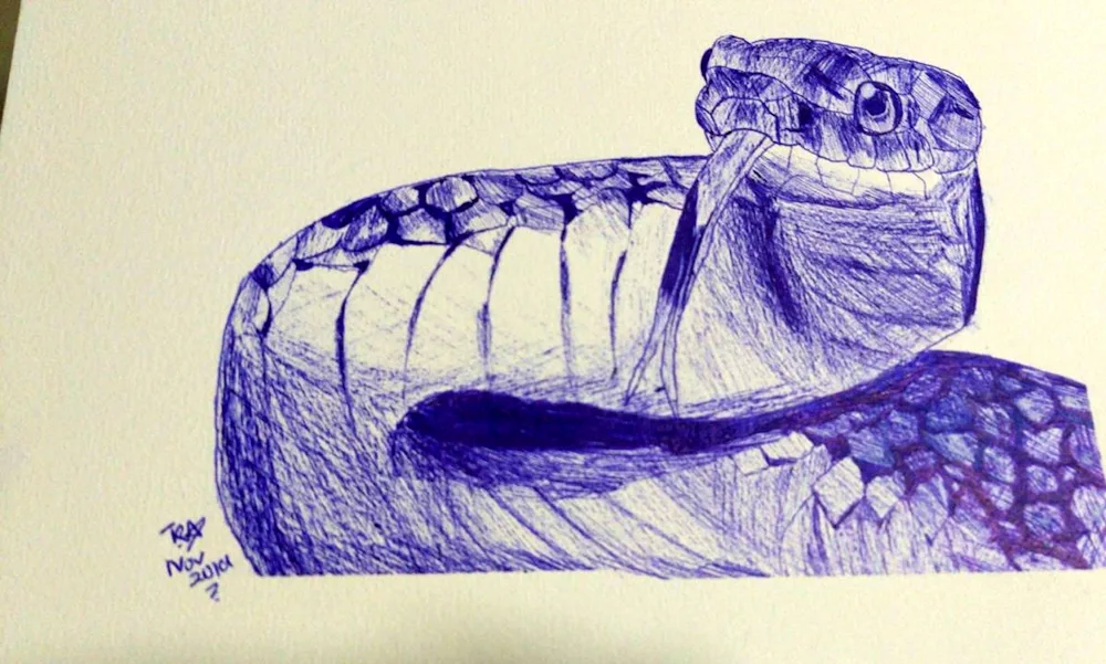 Snake in pencil