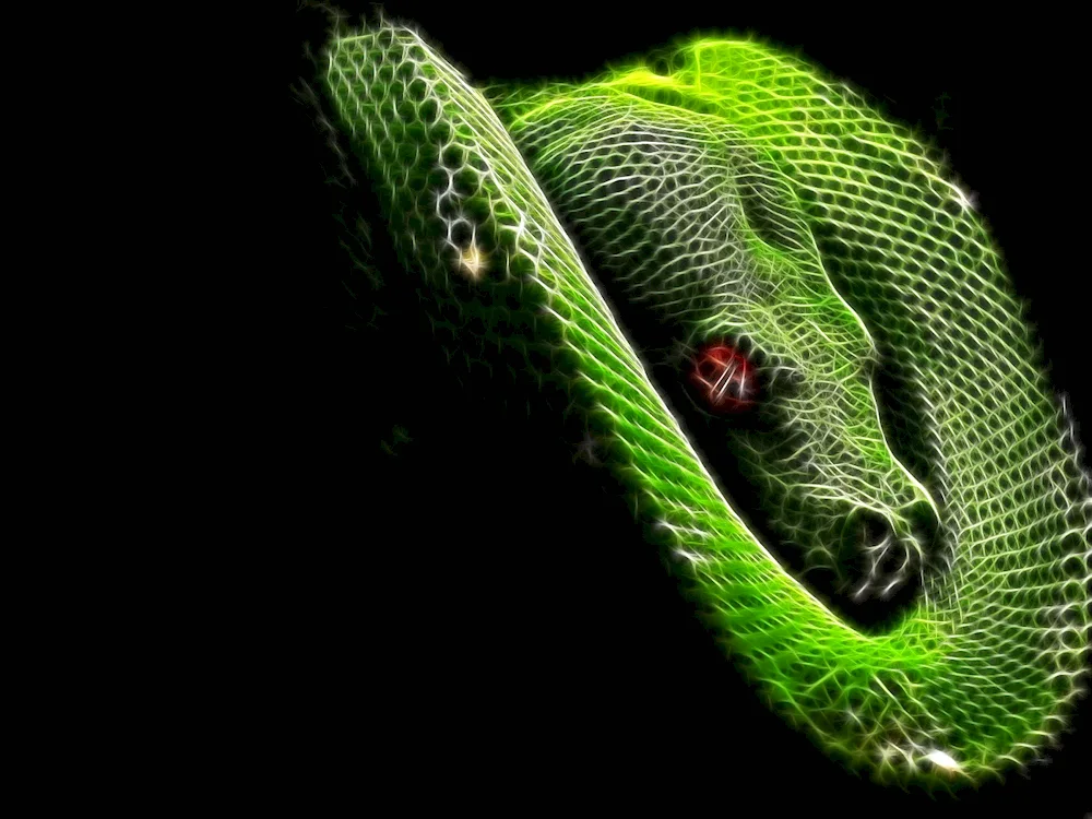 Green python snake