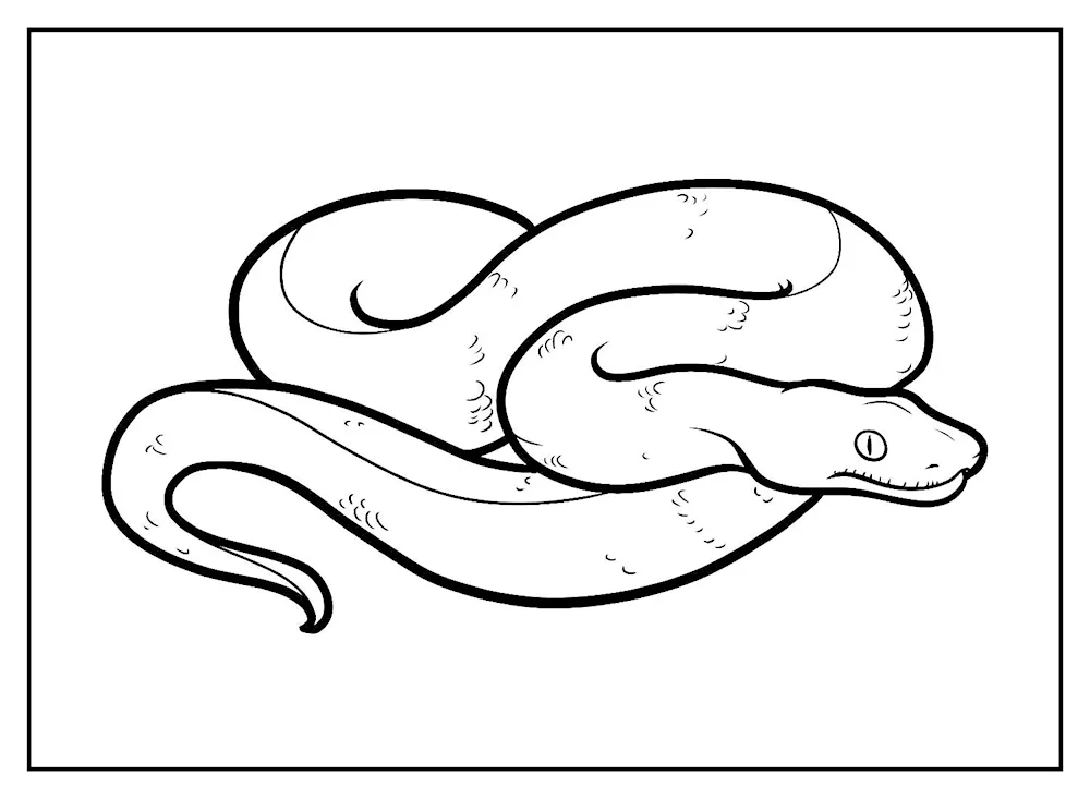 Snake Snake black snake vector