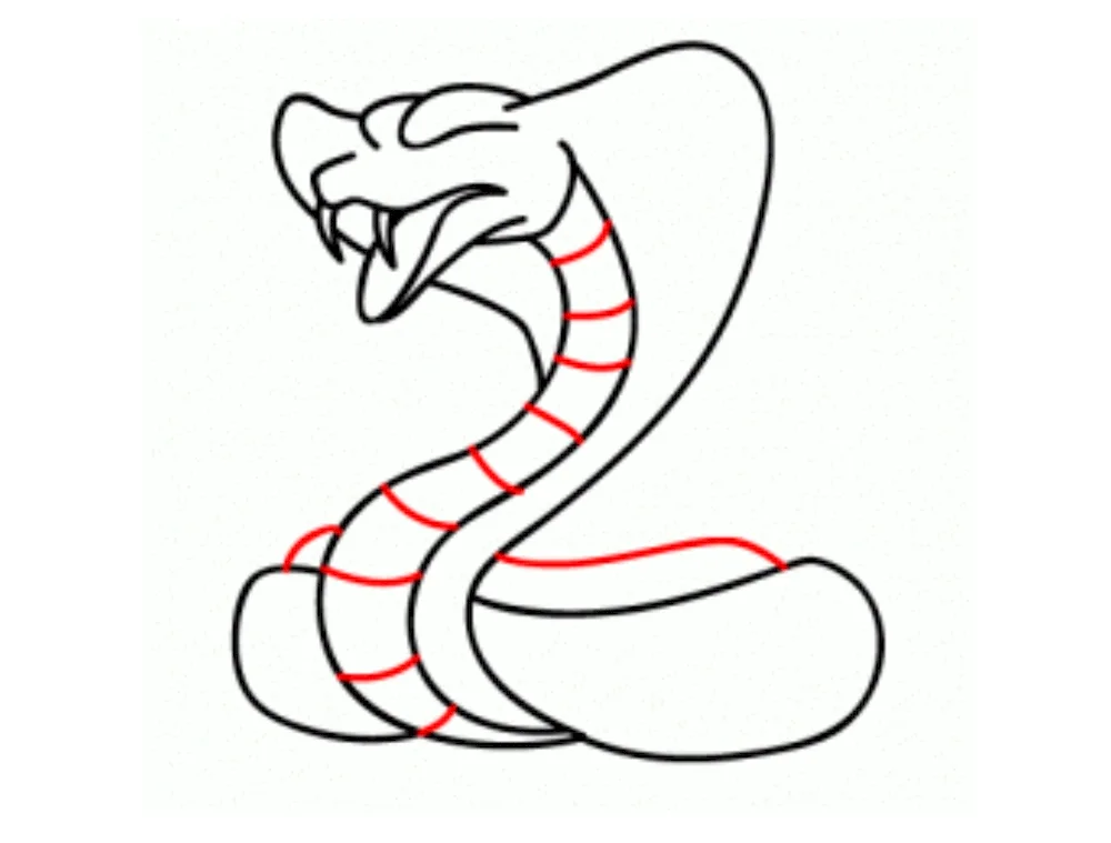 Snake drawing