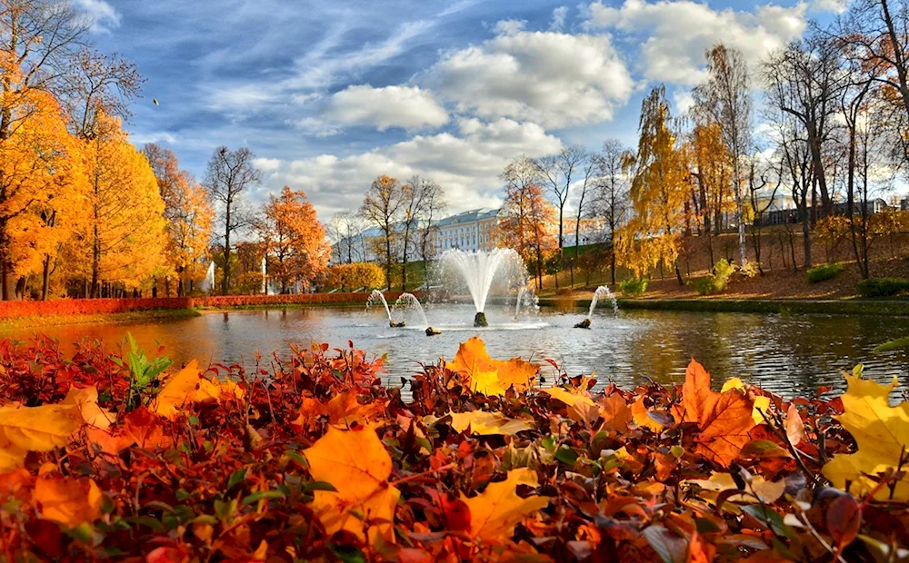 Golden autumn in Peterhof