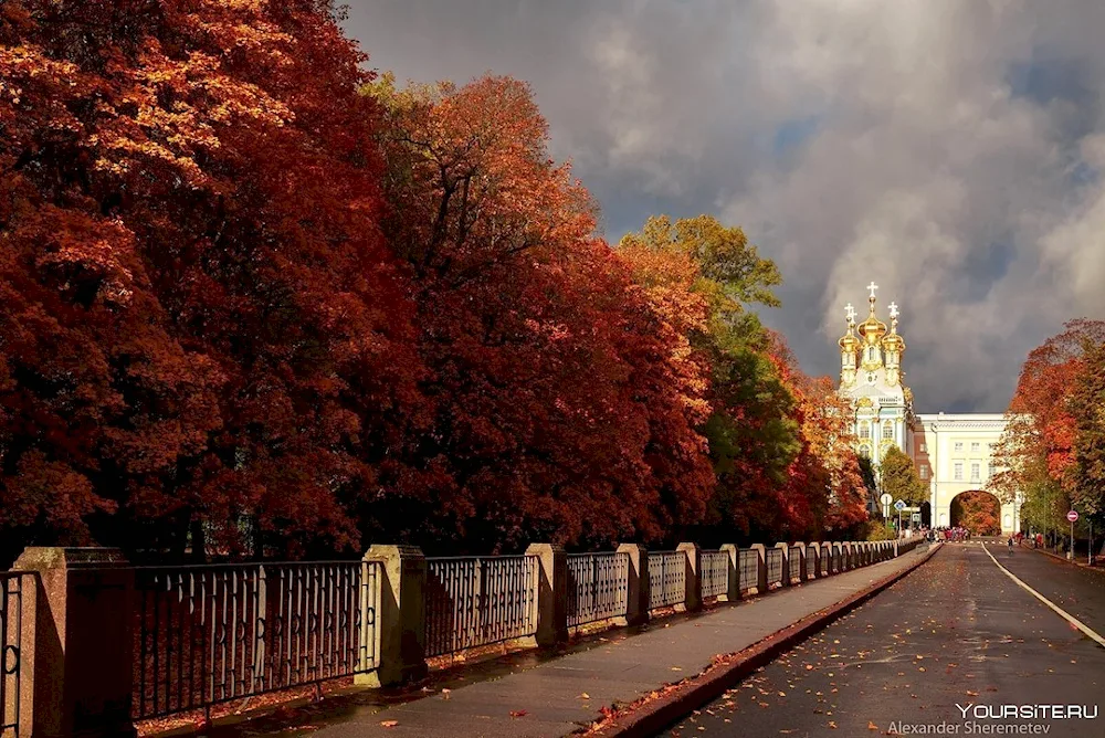 Golden autumn in St. Petersburg