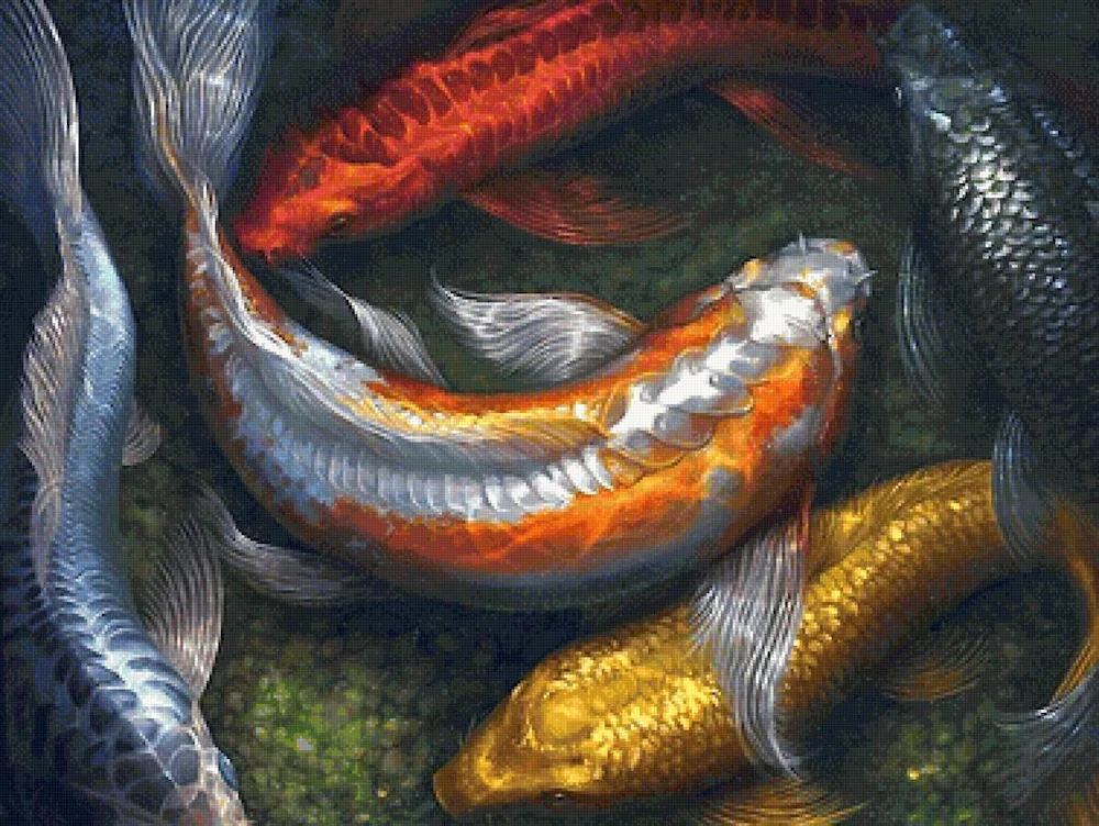 Golden Carp Koi Genshin