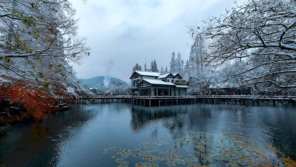 Kyoto Golden Temple in winter