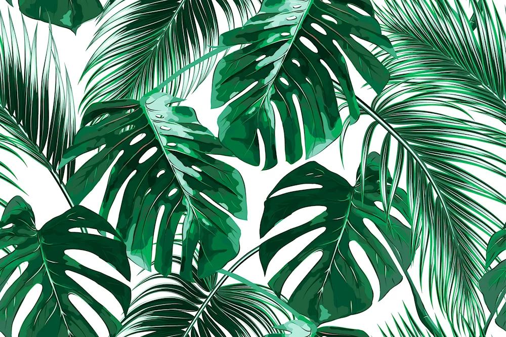 Golden monstera palm fern