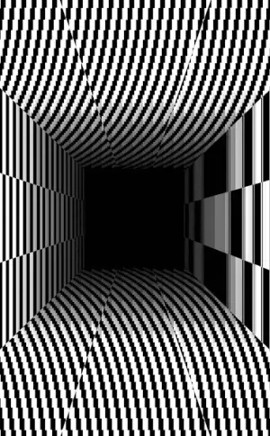 Visual Illusions