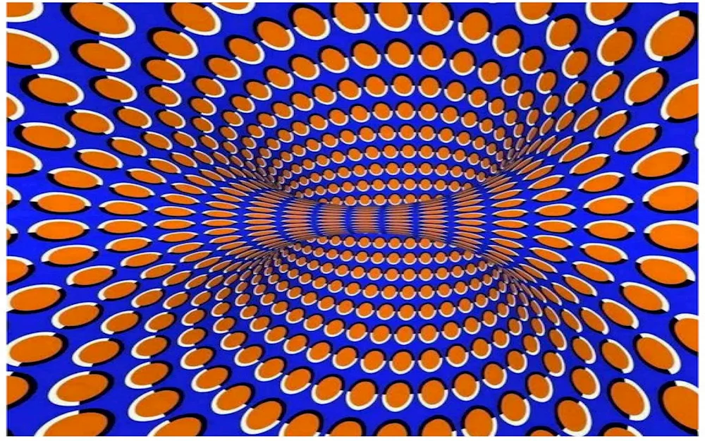 Visual Illusions